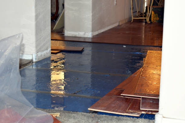 Professional Emergency Water Damage Restoration technician working in Polk City, FL